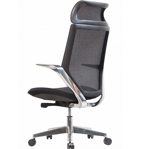 Ghế lưới DS802L