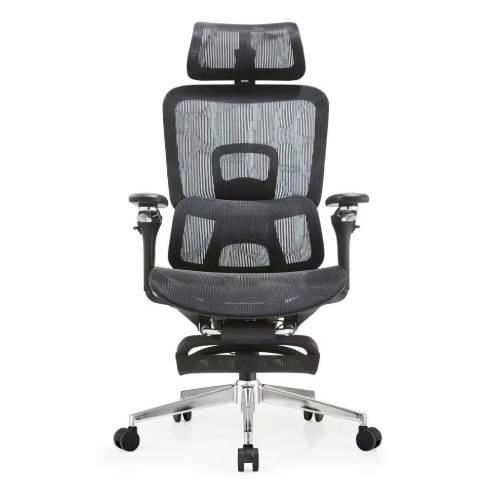 Ghế công thái học TT25-8